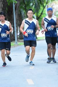 BIB: 662, 6795, 6726
                            <button type="button" onclick="openModal(4638206)" class="btn btn-primary btn-sm float-right btn-popup" data-toggle="modal" data-target=".modal-high-quality">
                        <i class="fas fa-shopping-cart"></i> Add to Cart
                    </button>
                                            <button type="button" onclick="isThisMe(4638206, true)" class="btn btn-success btn-sm float-right btn-popup btn-isme hidden" data-toggle="tooltip" data-placement="bottom" title="นี่คือรูปของคุณใช่ไหม คลิกที่นี่เพื่อเอาเข้าอัลบั้ม">
                        <i class="fas fa-plus"></i> Add to album
                    </button>
                    <button type="button" onclick="isThisMe(4638206, false)" class="btn btn-warning btn-sm float-right btn-popup btn-isnotme hidden">
                        <i class="fas fa-ban"></i> Remove from album
                    </button>