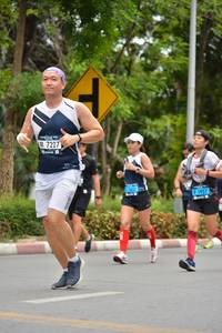 BIB: 7227, 1937
                            <button type="button" onclick="openModal(4602430)" class="btn btn-primary btn-sm float-right btn-popup" data-toggle="modal" data-target=".modal-high-quality">
                        <i class="fas fa-shopping-cart"></i> Add to Cart
                    </button>
                                            <button type="button" onclick="isThisMe(4602430, true)" class="btn btn-success btn-sm float-right btn-popup btn-isme hidden" data-toggle="tooltip" data-placement="bottom" title="นี่คือรูปของคุณใช่ไหม คลิกที่นี่เพื่อเอาเข้าอัลบั้ม">
                        <i class="fas fa-plus"></i> Add to album
                    </button>
                    <button type="button" onclick="isThisMe(4602430, false)" class="btn btn-warning btn-sm float-right btn-popup btn-isnotme hidden">
                        <i class="fas fa-ban"></i> Remove from album
                    </button>