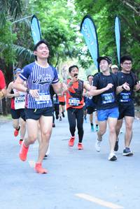 BIB: 5234, 6755, 5326, 
                            <button type="button" onclick="openModal(4663776)" class="btn btn-primary btn-sm float-right btn-popup" data-toggle="modal" data-target=".modal-high-quality">
                        <i class="fas fa-shopping-cart"></i> Add to Cart
                    </button>
                                            <button type="button" onclick="isThisMe(4663776, true)" class="btn btn-success btn-sm float-right btn-popup btn-isme hidden" data-toggle="tooltip" data-placement="bottom" title="นี่คือรูปของคุณใช่ไหม คลิกที่นี่เพื่อเอาเข้าอัลบั้ม">
                        <i class="fas fa-plus"></i> Add to album
                    </button>
                    <button type="button" onclick="isThisMe(4663776, false)" class="btn btn-warning btn-sm float-right btn-popup btn-isnotme hidden">
                        <i class="fas fa-ban"></i> Remove from album
                    </button>