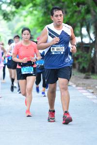 BIB: 6620, 2020
                            <button type="button" onclick="openModal(4639463)" class="btn btn-primary btn-sm float-right btn-popup" data-toggle="modal" data-target=".modal-high-quality">
                        <i class="fas fa-shopping-cart"></i> Add to Cart
                    </button>
                                            <button type="button" onclick="isThisMe(4639463, true)" class="btn btn-success btn-sm float-right btn-popup btn-isme hidden" data-toggle="tooltip" data-placement="bottom" title="นี่คือรูปของคุณใช่ไหม คลิกที่นี่เพื่อเอาเข้าอัลบั้ม">
                        <i class="fas fa-plus"></i> Add to album
                    </button>
                    <button type="button" onclick="isThisMe(4639463, false)" class="btn btn-warning btn-sm float-right btn-popup btn-isnotme hidden">
                        <i class="fas fa-ban"></i> Remove from album
                    </button>