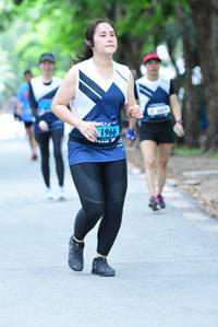 BIB: 1966
                            <button type="button" onclick="openModal(4578434)" class="btn btn-primary btn-sm float-right btn-popup" data-toggle="modal" data-target=".modal-high-quality">
                        <i class="fas fa-shopping-cart"></i> Add to Cart
                    </button>
                                            <button type="button" onclick="isThisMe(4578434, true)" class="btn btn-success btn-sm float-right btn-popup btn-isme hidden" data-toggle="tooltip" data-placement="bottom" title="นี่คือรูปของคุณใช่ไหม คลิกที่นี่เพื่อเอาเข้าอัลบั้ม">
                        <i class="fas fa-plus"></i> Add to album
                    </button>
                    <button type="button" onclick="isThisMe(4578434, false)" class="btn btn-warning btn-sm float-right btn-popup btn-isnotme hidden">
                        <i class="fas fa-ban"></i> Remove from album
                    </button>