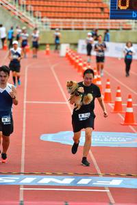 BIB: 714
                            <button type="button" onclick="openModal(4606970)" class="btn btn-primary btn-sm float-right btn-popup" data-toggle="modal" data-target=".modal-high-quality">
                        <i class="fas fa-shopping-cart"></i> Add to Cart
                    </button>
                                            <button type="button" onclick="isThisMe(4606970, true)" class="btn btn-success btn-sm float-right btn-popup btn-isme hidden" data-toggle="tooltip" data-placement="bottom" title="นี่คือรูปของคุณใช่ไหม คลิกที่นี่เพื่อเอาเข้าอัลบั้ม">
                        <i class="fas fa-plus"></i> Add to album
                    </button>
                    <button type="button" onclick="isThisMe(4606970, false)" class="btn btn-warning btn-sm float-right btn-popup btn-isnotme hidden">
                        <i class="fas fa-ban"></i> Remove from album
                    </button>