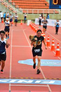 BIB: 7141
                            <button type="button" onclick="openModal(4606971)" class="btn btn-primary btn-sm float-right btn-popup" data-toggle="modal" data-target=".modal-high-quality">
                        <i class="fas fa-shopping-cart"></i> Add to Cart
                    </button>
                                            <button type="button" onclick="isThisMe(4606971, true)" class="btn btn-success btn-sm float-right btn-popup btn-isme hidden" data-toggle="tooltip" data-placement="bottom" title="นี่คือรูปของคุณใช่ไหม คลิกที่นี่เพื่อเอาเข้าอัลบั้ม">
                        <i class="fas fa-plus"></i> Add to album
                    </button>
                    <button type="button" onclick="isThisMe(4606971, false)" class="btn btn-warning btn-sm float-right btn-popup btn-isnotme hidden">
                        <i class="fas fa-ban"></i> Remove from album
                    </button>