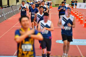 BIB: 5781
                            <button type="button" onclick="openModal(4602765)" class="btn btn-primary btn-sm float-right btn-popup" data-toggle="modal" data-target=".modal-high-quality">
                        <i class="fas fa-shopping-cart"></i> Add to Cart
                    </button>
                                            <button type="button" onclick="isThisMe(4602765, true)" class="btn btn-success btn-sm float-right btn-popup btn-isme hidden" data-toggle="tooltip" data-placement="bottom" title="นี่คือรูปของคุณใช่ไหม คลิกที่นี่เพื่อเอาเข้าอัลบั้ม">
                        <i class="fas fa-plus"></i> Add to album
                    </button>
                    <button type="button" onclick="isThisMe(4602765, false)" class="btn btn-warning btn-sm float-right btn-popup btn-isnotme hidden">
                        <i class="fas fa-ban"></i> Remove from album
                    </button>