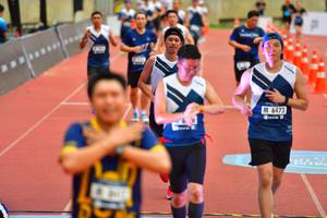 BIB: 6473
                            <button type="button" onclick="openModal(4602774)" class="btn btn-primary btn-sm float-right btn-popup" data-toggle="modal" data-target=".modal-high-quality">
                        <i class="fas fa-shopping-cart"></i> Add to Cart
                    </button>
                                            <button type="button" onclick="isThisMe(4602774, true)" class="btn btn-success btn-sm float-right btn-popup btn-isme hidden" data-toggle="tooltip" data-placement="bottom" title="นี่คือรูปของคุณใช่ไหม คลิกที่นี่เพื่อเอาเข้าอัลบั้ม">
                        <i class="fas fa-plus"></i> Add to album
                    </button>
                    <button type="button" onclick="isThisMe(4602774, false)" class="btn btn-warning btn-sm float-right btn-popup btn-isnotme hidden">
                        <i class="fas fa-ban"></i> Remove from album
                    </button>