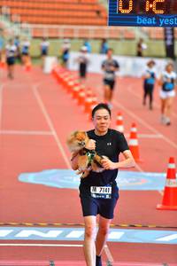 BIB: 7141
                            <button type="button" onclick="openModal(4606988)" class="btn btn-primary btn-sm float-right btn-popup" data-toggle="modal" data-target=".modal-high-quality">
                        <i class="fas fa-shopping-cart"></i> Add to Cart
                    </button>
                                            <button type="button" onclick="isThisMe(4606988, true)" class="btn btn-success btn-sm float-right btn-popup btn-isme hidden" data-toggle="tooltip" data-placement="bottom" title="นี่คือรูปของคุณใช่ไหม คลิกที่นี่เพื่อเอาเข้าอัลบั้ม">
                        <i class="fas fa-plus"></i> Add to album
                    </button>
                    <button type="button" onclick="isThisMe(4606988, false)" class="btn btn-warning btn-sm float-right btn-popup btn-isnotme hidden">
                        <i class="fas fa-ban"></i> Remove from album
                    </button>