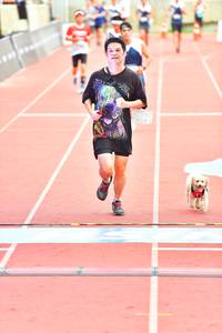 BIB: 
                            <button type="button" onclick="openModal(4618649)" class="btn btn-primary btn-sm float-right btn-popup" data-toggle="modal" data-target=".modal-high-quality">
                        <i class="fas fa-shopping-cart"></i> Add to Cart
                    </button>
                                            <button type="button" onclick="isThisMe(4618649, true)" class="btn btn-success btn-sm float-right btn-popup btn-isme hidden" data-toggle="tooltip" data-placement="bottom" title="นี่คือรูปของคุณใช่ไหม คลิกที่นี่เพื่อเอาเข้าอัลบั้ม">
                        <i class="fas fa-plus"></i> Add to album
                    </button>
                    <button type="button" onclick="isThisMe(4618649, false)" class="btn btn-warning btn-sm float-right btn-popup btn-isnotme hidden">
                        <i class="fas fa-ban"></i> Remove from album
                    </button>