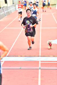 BIB: 
                            <button type="button" onclick="openModal(4618623)" class="btn btn-primary btn-sm float-right btn-popup" data-toggle="modal" data-target=".modal-high-quality">
                        <i class="fas fa-shopping-cart"></i> Add to Cart
                    </button>
                                            <button type="button" onclick="isThisMe(4618623, true)" class="btn btn-success btn-sm float-right btn-popup btn-isme hidden" data-toggle="tooltip" data-placement="bottom" title="นี่คือรูปของคุณใช่ไหม คลิกที่นี่เพื่อเอาเข้าอัลบั้ม">
                        <i class="fas fa-plus"></i> Add to album
                    </button>
                    <button type="button" onclick="isThisMe(4618623, false)" class="btn btn-warning btn-sm float-right btn-popup btn-isnotme hidden">
                        <i class="fas fa-ban"></i> Remove from album
                    </button>