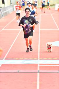 BIB: 
                            <button type="button" onclick="openModal(4618639)" class="btn btn-primary btn-sm float-right btn-popup" data-toggle="modal" data-target=".modal-high-quality">
                        <i class="fas fa-shopping-cart"></i> Add to Cart
                    </button>
                                            <button type="button" onclick="isThisMe(4618639, true)" class="btn btn-success btn-sm float-right btn-popup btn-isme hidden" data-toggle="tooltip" data-placement="bottom" title="นี่คือรูปของคุณใช่ไหม คลิกที่นี่เพื่อเอาเข้าอัลบั้ม">
                        <i class="fas fa-plus"></i> Add to album
                    </button>
                    <button type="button" onclick="isThisMe(4618639, false)" class="btn btn-warning btn-sm float-right btn-popup btn-isnotme hidden">
                        <i class="fas fa-ban"></i> Remove from album
                    </button>