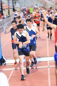 BIB: 7430, 8543, 
                            <button type="button" onclick="openModal(4631273)" class="btn btn-primary btn-sm float-right btn-popup" data-toggle="modal" data-target=".modal-high-quality">
                        <i class="fas fa-shopping-cart"></i> Add to Cart
                    </button>
                                            <button type="button" onclick="isThisMe(4631273, true)" class="btn btn-success btn-sm float-right btn-popup btn-isme hidden" data-toggle="tooltip" data-placement="bottom" title="นี่คือรูปของคุณใช่ไหม คลิกที่นี่เพื่อเอาเข้าอัลบั้ม">
                        <i class="fas fa-plus"></i> Add to album
                    </button>
                    <button type="button" onclick="isThisMe(4631273, false)" class="btn btn-warning btn-sm float-right btn-popup btn-isnotme hidden">
                        <i class="fas fa-ban"></i> Remove from album
                    </button>