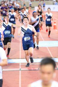 BIB: 6355, 6890
                            <button type="button" onclick="openModal(4631403)" class="btn btn-primary btn-sm float-right btn-popup" data-toggle="modal" data-target=".modal-high-quality">
                        <i class="fas fa-shopping-cart"></i> Add to Cart
                    </button>
                                            <button type="button" onclick="isThisMe(4631403, true)" class="btn btn-success btn-sm float-right btn-popup btn-isme hidden" data-toggle="tooltip" data-placement="bottom" title="นี่คือรูปของคุณใช่ไหม คลิกที่นี่เพื่อเอาเข้าอัลบั้ม">
                        <i class="fas fa-plus"></i> Add to album
                    </button>
                    <button type="button" onclick="isThisMe(4631403, false)" class="btn btn-warning btn-sm float-right btn-popup btn-isnotme hidden">
                        <i class="fas fa-ban"></i> Remove from album
                    </button>