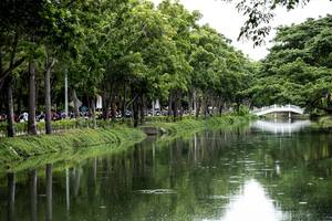 BIB: 
                            <button type="button" onclick="openModal(4727595)" class="btn btn-primary btn-sm float-right btn-popup" data-toggle="modal" data-target=".modal-high-quality">
                        <i class="fas fa-shopping-cart"></i> Add to Cart
                    </button>
                                            <button type="button" onclick="isThisMe(4727595, true)" class="btn btn-success btn-sm float-right btn-popup btn-isme hidden" data-toggle="tooltip" data-placement="bottom" title="นี่คือรูปของคุณใช่ไหม คลิกที่นี่เพื่อเอาเข้าอัลบั้ม">
                        <i class="fas fa-plus"></i> Add to album
                    </button>
                    <button type="button" onclick="isThisMe(4727595, false)" class="btn btn-warning btn-sm float-right btn-popup btn-isnotme hidden">
                        <i class="fas fa-ban"></i> Remove from album
                    </button>