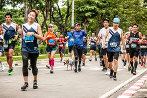 BIB: 2215, 8385, 8386
                            <button type="button" onclick="openModal(4729339)" class="btn btn-primary btn-sm float-right btn-popup" data-toggle="modal" data-target=".modal-high-quality">
                        <i class="fas fa-shopping-cart"></i> Add to Cart
                    </button>
                                            <button type="button" onclick="isThisMe(4729339, true)" class="btn btn-success btn-sm float-right btn-popup btn-isme hidden" data-toggle="tooltip" data-placement="bottom" title="นี่คือรูปของคุณใช่ไหม คลิกที่นี่เพื่อเอาเข้าอัลบั้ม">
                        <i class="fas fa-plus"></i> Add to album
                    </button>
                    <button type="button" onclick="isThisMe(4729339, false)" class="btn btn-warning btn-sm float-right btn-popup btn-isnotme hidden">
                        <i class="fas fa-ban"></i> Remove from album
                    </button>