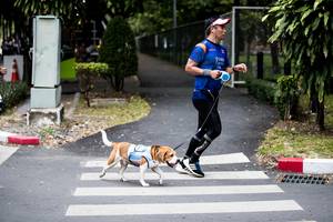 BIB: 
                            <button type="button" onclick="openModal(4727588)" class="btn btn-primary btn-sm float-right btn-popup" data-toggle="modal" data-target=".modal-high-quality">
                        <i class="fas fa-shopping-cart"></i> Add to Cart
                    </button>
                                            <button type="button" onclick="isThisMe(4727588, true)" class="btn btn-success btn-sm float-right btn-popup btn-isme hidden" data-toggle="tooltip" data-placement="bottom" title="นี่คือรูปของคุณใช่ไหม คลิกที่นี่เพื่อเอาเข้าอัลบั้ม">
                        <i class="fas fa-plus"></i> Add to album
                    </button>
                    <button type="button" onclick="isThisMe(4727588, false)" class="btn btn-warning btn-sm float-right btn-popup btn-isnotme hidden">
                        <i class="fas fa-ban"></i> Remove from album
                    </button>