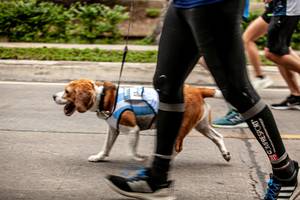 BIB: 
                            <button type="button" onclick="openModal(4729335)" class="btn btn-primary btn-sm float-right btn-popup" data-toggle="modal" data-target=".modal-high-quality">
                        <i class="fas fa-shopping-cart"></i> Add to Cart
                    </button>
                                            <button type="button" onclick="isThisMe(4729335, true)" class="btn btn-success btn-sm float-right btn-popup btn-isme hidden" data-toggle="tooltip" data-placement="bottom" title="นี่คือรูปของคุณใช่ไหม คลิกที่นี่เพื่อเอาเข้าอัลบั้ม">
                        <i class="fas fa-plus"></i> Add to album
                    </button>
                    <button type="button" onclick="isThisMe(4729335, false)" class="btn btn-warning btn-sm float-right btn-popup btn-isnotme hidden">
                        <i class="fas fa-ban"></i> Remove from album
                    </button>