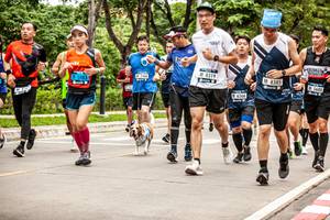 BIB: 8319, 8385, 7480, 5680, 1083, 6266
                            <button type="button" onclick="openModal(4729338)" class="btn btn-primary btn-sm float-right btn-popup" data-toggle="modal" data-target=".modal-high-quality">
                        <i class="fas fa-shopping-cart"></i> Add to Cart
                    </button>
                                            <button type="button" onclick="isThisMe(4729338, true)" class="btn btn-success btn-sm float-right btn-popup btn-isme hidden" data-toggle="tooltip" data-placement="bottom" title="นี่คือรูปของคุณใช่ไหม คลิกที่นี่เพื่อเอาเข้าอัลบั้ม">
                        <i class="fas fa-plus"></i> Add to album
                    </button>
                    <button type="button" onclick="isThisMe(4729338, false)" class="btn btn-warning btn-sm float-right btn-popup btn-isnotme hidden">
                        <i class="fas fa-ban"></i> Remove from album
                    </button>