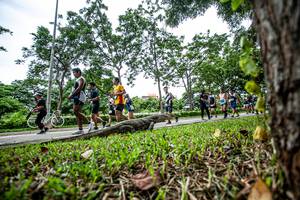 BIB: 
                            <button type="button" onclick="openModal(4729373)" class="btn btn-primary btn-sm float-right btn-popup" data-toggle="modal" data-target=".modal-high-quality">
                        <i class="fas fa-shopping-cart"></i> Add to Cart
                    </button>
                                            <button type="button" onclick="isThisMe(4729373, true)" class="btn btn-success btn-sm float-right btn-popup btn-isme hidden" data-toggle="tooltip" data-placement="bottom" title="นี่คือรูปของคุณใช่ไหม คลิกที่นี่เพื่อเอาเข้าอัลบั้ม">
                        <i class="fas fa-plus"></i> Add to album
                    </button>
                    <button type="button" onclick="isThisMe(4729373, false)" class="btn btn-warning btn-sm float-right btn-popup btn-isnotme hidden">
                        <i class="fas fa-ban"></i> Remove from album
                    </button>