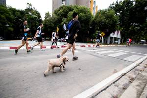 BIB: 
                            <button type="button" onclick="openModal(4727606)" class="btn btn-primary btn-sm float-right btn-popup" data-toggle="modal" data-target=".modal-high-quality">
                        <i class="fas fa-shopping-cart"></i> Add to Cart
                    </button>
                                            <button type="button" onclick="isThisMe(4727606, true)" class="btn btn-success btn-sm float-right btn-popup btn-isme hidden" data-toggle="tooltip" data-placement="bottom" title="นี่คือรูปของคุณใช่ไหม คลิกที่นี่เพื่อเอาเข้าอัลบั้ม">
                        <i class="fas fa-plus"></i> Add to album
                    </button>
                    <button type="button" onclick="isThisMe(4727606, false)" class="btn btn-warning btn-sm float-right btn-popup btn-isnotme hidden">
                        <i class="fas fa-ban"></i> Remove from album
                    </button>