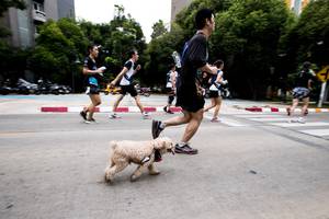 BIB: 
                            <button type="button" onclick="openModal(4727604)" class="btn btn-primary btn-sm float-right btn-popup" data-toggle="modal" data-target=".modal-high-quality">
                        <i class="fas fa-shopping-cart"></i> Add to Cart
                    </button>
                                            <button type="button" onclick="isThisMe(4727604, true)" class="btn btn-success btn-sm float-right btn-popup btn-isme hidden" data-toggle="tooltip" data-placement="bottom" title="นี่คือรูปของคุณใช่ไหม คลิกที่นี่เพื่อเอาเข้าอัลบั้ม">
                        <i class="fas fa-plus"></i> Add to album
                    </button>
                    <button type="button" onclick="isThisMe(4727604, false)" class="btn btn-warning btn-sm float-right btn-popup btn-isnotme hidden">
                        <i class="fas fa-ban"></i> Remove from album
                    </button>