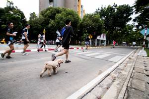 BIB: 
                            <button type="button" onclick="openModal(4727615)" class="btn btn-primary btn-sm float-right btn-popup" data-toggle="modal" data-target=".modal-high-quality">
                        <i class="fas fa-shopping-cart"></i> Add to Cart
                    </button>
                                            <button type="button" onclick="isThisMe(4727615, true)" class="btn btn-success btn-sm float-right btn-popup btn-isme hidden" data-toggle="tooltip" data-placement="bottom" title="นี่คือรูปของคุณใช่ไหม คลิกที่นี่เพื่อเอาเข้าอัลบั้ม">
                        <i class="fas fa-plus"></i> Add to album
                    </button>
                    <button type="button" onclick="isThisMe(4727615, false)" class="btn btn-warning btn-sm float-right btn-popup btn-isnotme hidden">
                        <i class="fas fa-ban"></i> Remove from album
                    </button>