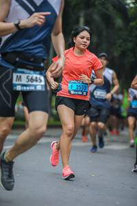 BIB: 5645, 
                            <button type="button" onclick="openModal(4708379)" class="btn btn-primary btn-sm float-right btn-popup" data-toggle="modal" data-target=".modal-high-quality">
                        <i class="fas fa-shopping-cart"></i> Add to Cart
                    </button>
                                            <button type="button" onclick="isThisMe(4708379, true)" class="btn btn-success btn-sm float-right btn-popup btn-isme hidden" data-toggle="tooltip" data-placement="bottom" title="นี่คือรูปของคุณใช่ไหม คลิกที่นี่เพื่อเอาเข้าอัลบั้ม">
                        <i class="fas fa-plus"></i> Add to album
                    </button>
                    <button type="button" onclick="isThisMe(4708379, false)" class="btn btn-warning btn-sm float-right btn-popup btn-isnotme hidden">
                        <i class="fas fa-ban"></i> Remove from album
                    </button>