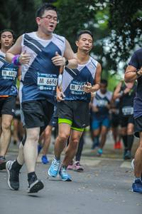 BIB: 6893, 6696, 740
                            <button type="button" onclick="openModal(4708987)" class="btn btn-primary btn-sm float-right btn-popup" data-toggle="modal" data-target=".modal-high-quality">
                        <i class="fas fa-shopping-cart"></i> Add to Cart
                    </button>
                                            <button type="button" onclick="isThisMe(4708987, true)" class="btn btn-success btn-sm float-right btn-popup btn-isme hidden" data-toggle="tooltip" data-placement="bottom" title="นี่คือรูปของคุณใช่ไหม คลิกที่นี่เพื่อเอาเข้าอัลบั้ม">
                        <i class="fas fa-plus"></i> Add to album
                    </button>
                    <button type="button" onclick="isThisMe(4708987, false)" class="btn btn-warning btn-sm float-right btn-popup btn-isnotme hidden">
                        <i class="fas fa-ban"></i> Remove from album
                    </button>