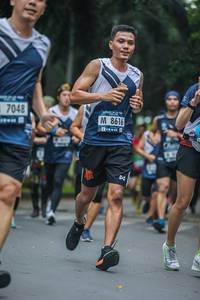 BIB: 7048, 8616
                            <button type="button" onclick="openModal(4708600)" class="btn btn-primary btn-sm float-right btn-popup" data-toggle="modal" data-target=".modal-high-quality">
                        <i class="fas fa-shopping-cart"></i> Add to Cart
                    </button>
                                            <button type="button" onclick="isThisMe(4708600, true)" class="btn btn-success btn-sm float-right btn-popup btn-isme hidden" data-toggle="tooltip" data-placement="bottom" title="นี่คือรูปของคุณใช่ไหม คลิกที่นี่เพื่อเอาเข้าอัลบั้ม">
                        <i class="fas fa-plus"></i> Add to album
                    </button>
                    <button type="button" onclick="isThisMe(4708600, false)" class="btn btn-warning btn-sm float-right btn-popup btn-isnotme hidden">
                        <i class="fas fa-ban"></i> Remove from album
                    </button>