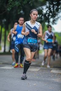 BIB: 1546
                            <button type="button" onclick="openModal(4709895)" class="btn btn-primary btn-sm float-right btn-popup" data-toggle="modal" data-target=".modal-high-quality">
                        <i class="fas fa-shopping-cart"></i> Add to Cart
                    </button>
                                            <button type="button" onclick="isThisMe(4709895, true)" class="btn btn-success btn-sm float-right btn-popup btn-isme hidden" data-toggle="tooltip" data-placement="bottom" title="นี่คือรูปของคุณใช่ไหม คลิกที่นี่เพื่อเอาเข้าอัลบั้ม">
                        <i class="fas fa-plus"></i> Add to album
                    </button>
                    <button type="button" onclick="isThisMe(4709895, false)" class="btn btn-warning btn-sm float-right btn-popup btn-isnotme hidden">
                        <i class="fas fa-ban"></i> Remove from album
                    </button>