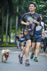 BIB: 
                            <button type="button" onclick="openModal(4710162)" class="btn btn-primary btn-sm float-right btn-popup" data-toggle="modal" data-target=".modal-high-quality">
                        <i class="fas fa-shopping-cart"></i> Add to Cart
                    </button>
                                            <button type="button" onclick="isThisMe(4710162, true)" class="btn btn-success btn-sm float-right btn-popup btn-isme hidden" data-toggle="tooltip" data-placement="bottom" title="นี่คือรูปของคุณใช่ไหม คลิกที่นี่เพื่อเอาเข้าอัลบั้ม">
                        <i class="fas fa-plus"></i> Add to album
                    </button>
                    <button type="button" onclick="isThisMe(4710162, false)" class="btn btn-warning btn-sm float-right btn-popup btn-isnotme hidden">
                        <i class="fas fa-ban"></i> Remove from album
                    </button>