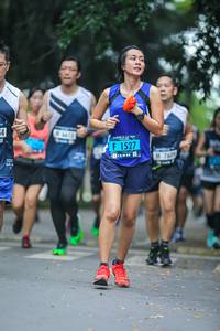 BIB: 1527
                            <button type="button" onclick="openModal(4710129)" class="btn btn-primary btn-sm float-right btn-popup" data-toggle="modal" data-target=".modal-high-quality">
                        <i class="fas fa-shopping-cart"></i> Add to Cart
                    </button>
                                            <button type="button" onclick="isThisMe(4710129, true)" class="btn btn-success btn-sm float-right btn-popup btn-isme hidden" data-toggle="tooltip" data-placement="bottom" title="นี่คือรูปของคุณใช่ไหม คลิกที่นี่เพื่อเอาเข้าอัลบั้ม">
                        <i class="fas fa-plus"></i> Add to album
                    </button>
                    <button type="button" onclick="isThisMe(4710129, false)" class="btn btn-warning btn-sm float-right btn-popup btn-isnotme hidden">
                        <i class="fas fa-ban"></i> Remove from album
                    </button>