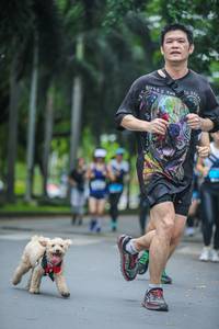 BIB: 
                            <button type="button" onclick="openModal(4710164)" class="btn btn-primary btn-sm float-right btn-popup" data-toggle="modal" data-target=".modal-high-quality">
                        <i class="fas fa-shopping-cart"></i> Add to Cart
                    </button>
                                            <button type="button" onclick="isThisMe(4710164, true)" class="btn btn-success btn-sm float-right btn-popup btn-isme hidden" data-toggle="tooltip" data-placement="bottom" title="นี่คือรูปของคุณใช่ไหม คลิกที่นี่เพื่อเอาเข้าอัลบั้ม">
                        <i class="fas fa-plus"></i> Add to album
                    </button>
                    <button type="button" onclick="isThisMe(4710164, false)" class="btn btn-warning btn-sm float-right btn-popup btn-isnotme hidden">
                        <i class="fas fa-ban"></i> Remove from album
                    </button>