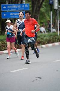 BIB: 6059
                            <button type="button" onclick="openModal(4603734)" class="btn btn-primary btn-sm float-right btn-popup" data-toggle="modal" data-target=".modal-high-quality">
                        <i class="fas fa-shopping-cart"></i> Add to Cart
                    </button>
                                            <button type="button" onclick="isThisMe(4603734, true)" class="btn btn-success btn-sm float-right btn-popup btn-isme hidden" data-toggle="tooltip" data-placement="bottom" title="นี่คือรูปของคุณใช่ไหม คลิกที่นี่เพื่อเอาเข้าอัลบั้ม">
                        <i class="fas fa-plus"></i> Add to album
                    </button>
                    <button type="button" onclick="isThisMe(4603734, false)" class="btn btn-warning btn-sm float-right btn-popup btn-isnotme hidden">
                        <i class="fas fa-ban"></i> Remove from album
                    </button>