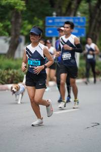 BIB: 2068
                            <button type="button" onclick="openModal(4603941)" class="btn btn-primary btn-sm float-right btn-popup" data-toggle="modal" data-target=".modal-high-quality">
                        <i class="fas fa-shopping-cart"></i> Add to Cart
                    </button>
                                            <button type="button" onclick="isThisMe(4603941, true)" class="btn btn-success btn-sm float-right btn-popup btn-isme hidden" data-toggle="tooltip" data-placement="bottom" title="นี่คือรูปของคุณใช่ไหม คลิกที่นี่เพื่อเอาเข้าอัลบั้ม">
                        <i class="fas fa-plus"></i> Add to album
                    </button>
                    <button type="button" onclick="isThisMe(4603941, false)" class="btn btn-warning btn-sm float-right btn-popup btn-isnotme hidden">
                        <i class="fas fa-ban"></i> Remove from album
                    </button>