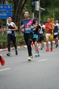 BIB: 8267, 8670, 2639
                            <button type="button" onclick="openModal(4600105)" class="btn btn-primary btn-sm float-right btn-popup" data-toggle="modal" data-target=".modal-high-quality">
                        <i class="fas fa-shopping-cart"></i> Add to Cart
                    </button>
                                            <button type="button" onclick="isThisMe(4600105, true)" class="btn btn-success btn-sm float-right btn-popup btn-isme hidden" data-toggle="tooltip" data-placement="bottom" title="นี่คือรูปของคุณใช่ไหม คลิกที่นี่เพื่อเอาเข้าอัลบั้ม">
                        <i class="fas fa-plus"></i> Add to album
                    </button>
                    <button type="button" onclick="isThisMe(4600105, false)" class="btn btn-warning btn-sm float-right btn-popup btn-isnotme hidden">
                        <i class="fas fa-ban"></i> Remove from album
                    </button>