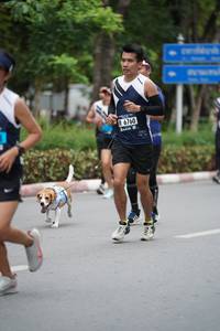 BIB: 6760
                            <button type="button" onclick="openModal(4603940)" class="btn btn-primary btn-sm float-right btn-popup" data-toggle="modal" data-target=".modal-high-quality">
                        <i class="fas fa-shopping-cart"></i> Add to Cart
                    </button>
                                            <button type="button" onclick="isThisMe(4603940, true)" class="btn btn-success btn-sm float-right btn-popup btn-isme hidden" data-toggle="tooltip" data-placement="bottom" title="นี่คือรูปของคุณใช่ไหม คลิกที่นี่เพื่อเอาเข้าอัลบั้ม">
                        <i class="fas fa-plus"></i> Add to album
                    </button>
                    <button type="button" onclick="isThisMe(4603940, false)" class="btn btn-warning btn-sm float-right btn-popup btn-isnotme hidden">
                        <i class="fas fa-ban"></i> Remove from album
                    </button>