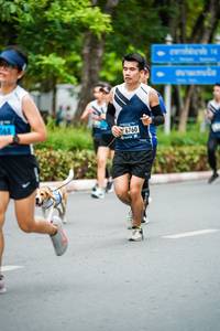 BIB: 068, 6760
                            <button type="button" onclick="openModal(4693146)" class="btn btn-primary btn-sm float-right btn-popup" data-toggle="modal" data-target=".modal-high-quality">
                        <i class="fas fa-shopping-cart"></i> Add to Cart
                    </button>
                                            <button type="button" onclick="isThisMe(4693146, true)" class="btn btn-success btn-sm float-right btn-popup btn-isme hidden" data-toggle="tooltip" data-placement="bottom" title="นี่คือรูปของคุณใช่ไหม คลิกที่นี่เพื่อเอาเข้าอัลบั้ม">
                        <i class="fas fa-plus"></i> Add to album
                    </button>
                    <button type="button" onclick="isThisMe(4693146, false)" class="btn btn-warning btn-sm float-right btn-popup btn-isnotme hidden">
                        <i class="fas fa-ban"></i> Remove from album
                    </button>