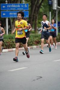 BIB: 7523, 
                            <button type="button" onclick="openModal(4602605)" class="btn btn-primary btn-sm float-right btn-popup" data-toggle="modal" data-target=".modal-high-quality">
                        <i class="fas fa-shopping-cart"></i> Add to Cart
                    </button>
                                            <button type="button" onclick="isThisMe(4602605, true)" class="btn btn-success btn-sm float-right btn-popup btn-isme hidden" data-toggle="tooltip" data-placement="bottom" title="นี่คือรูปของคุณใช่ไหม คลิกที่นี่เพื่อเอาเข้าอัลบั้ม">
                        <i class="fas fa-plus"></i> Add to album
                    </button>
                    <button type="button" onclick="isThisMe(4602605, false)" class="btn btn-warning btn-sm float-right btn-popup btn-isnotme hidden">
                        <i class="fas fa-ban"></i> Remove from album
                    </button>