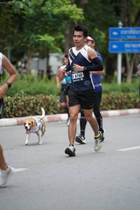 BIB: 6760
                            <button type="button" onclick="openModal(4603948)" class="btn btn-primary btn-sm float-right btn-popup" data-toggle="modal" data-target=".modal-high-quality">
                        <i class="fas fa-shopping-cart"></i> Add to Cart
                    </button>
                                            <button type="button" onclick="isThisMe(4603948, true)" class="btn btn-success btn-sm float-right btn-popup btn-isme hidden" data-toggle="tooltip" data-placement="bottom" title="นี่คือรูปของคุณใช่ไหม คลิกที่นี่เพื่อเอาเข้าอัลบั้ม">
                        <i class="fas fa-plus"></i> Add to album
                    </button>
                    <button type="button" onclick="isThisMe(4603948, false)" class="btn btn-warning btn-sm float-right btn-popup btn-isnotme hidden">
                        <i class="fas fa-ban"></i> Remove from album
                    </button>