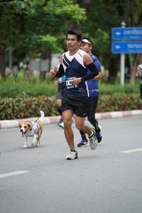 BIB: 
                            <button type="button" onclick="openModal(4603952)" class="btn btn-primary btn-sm float-right btn-popup" data-toggle="modal" data-target=".modal-high-quality">
                        <i class="fas fa-shopping-cart"></i> Add to Cart
                    </button>
                                            <button type="button" onclick="isThisMe(4603952, true)" class="btn btn-success btn-sm float-right btn-popup btn-isme hidden" data-toggle="tooltip" data-placement="bottom" title="นี่คือรูปของคุณใช่ไหม คลิกที่นี่เพื่อเอาเข้าอัลบั้ม">
                        <i class="fas fa-plus"></i> Add to album
                    </button>
                    <button type="button" onclick="isThisMe(4603952, false)" class="btn btn-warning btn-sm float-right btn-popup btn-isnotme hidden">
                        <i class="fas fa-ban"></i> Remove from album
                    </button>