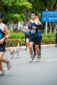 BIB: 6760
                            <button type="button" onclick="openModal(4693147)" class="btn btn-primary btn-sm float-right btn-popup" data-toggle="modal" data-target=".modal-high-quality">
                        <i class="fas fa-shopping-cart"></i> Add to Cart
                    </button>
                                            <button type="button" onclick="isThisMe(4693147, true)" class="btn btn-success btn-sm float-right btn-popup btn-isme hidden" data-toggle="tooltip" data-placement="bottom" title="นี่คือรูปของคุณใช่ไหม คลิกที่นี่เพื่อเอาเข้าอัลบั้ม">
                        <i class="fas fa-plus"></i> Add to album
                    </button>
                    <button type="button" onclick="isThisMe(4693147, false)" class="btn btn-warning btn-sm float-right btn-popup btn-isnotme hidden">
                        <i class="fas fa-ban"></i> Remove from album
                    </button>