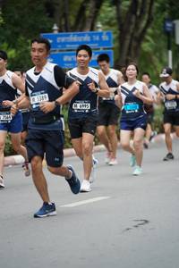 BIB: 5389, 6995, 7564
                            <button type="button" onclick="openModal(4603164)" class="btn btn-primary btn-sm float-right btn-popup" data-toggle="modal" data-target=".modal-high-quality">
                        <i class="fas fa-shopping-cart"></i> Add to Cart
                    </button>
                                            <button type="button" onclick="isThisMe(4603164, true)" class="btn btn-success btn-sm float-right btn-popup btn-isme hidden" data-toggle="tooltip" data-placement="bottom" title="นี่คือรูปของคุณใช่ไหม คลิกที่นี่เพื่อเอาเข้าอัลบั้ม">
                        <i class="fas fa-plus"></i> Add to album
                    </button>
                    <button type="button" onclick="isThisMe(4603164, false)" class="btn btn-warning btn-sm float-right btn-popup btn-isnotme hidden">
                        <i class="fas fa-ban"></i> Remove from album
                    </button>