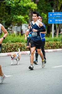 BIB: 6760
                            <button type="button" onclick="openModal(4693148)" class="btn btn-primary btn-sm float-right btn-popup" data-toggle="modal" data-target=".modal-high-quality">
                        <i class="fas fa-shopping-cart"></i> Add to Cart
                    </button>
                                            <button type="button" onclick="isThisMe(4693148, true)" class="btn btn-success btn-sm float-right btn-popup btn-isme hidden" data-toggle="tooltip" data-placement="bottom" title="นี่คือรูปของคุณใช่ไหม คลิกที่นี่เพื่อเอาเข้าอัลบั้ม">
                        <i class="fas fa-plus"></i> Add to album
                    </button>
                    <button type="button" onclick="isThisMe(4693148, false)" class="btn btn-warning btn-sm float-right btn-popup btn-isnotme hidden">
                        <i class="fas fa-ban"></i> Remove from album
                    </button>