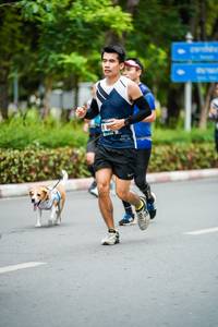 BIB: 
                            <button type="button" onclick="openModal(4693149)" class="btn btn-primary btn-sm float-right btn-popup" data-toggle="modal" data-target=".modal-high-quality">
                        <i class="fas fa-shopping-cart"></i> Add to Cart
                    </button>
                                            <button type="button" onclick="isThisMe(4693149, true)" class="btn btn-success btn-sm float-right btn-popup btn-isme hidden" data-toggle="tooltip" data-placement="bottom" title="นี่คือรูปของคุณใช่ไหม คลิกที่นี่เพื่อเอาเข้าอัลบั้ม">
                        <i class="fas fa-plus"></i> Add to album
                    </button>
                    <button type="button" onclick="isThisMe(4693149, false)" class="btn btn-warning btn-sm float-right btn-popup btn-isnotme hidden">
                        <i class="fas fa-ban"></i> Remove from album
                    </button>