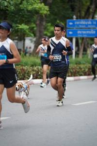 BIB: 068, 6760
                            <button type="button" onclick="openModal(4603939)" class="btn btn-primary btn-sm float-right btn-popup" data-toggle="modal" data-target=".modal-high-quality">
                        <i class="fas fa-shopping-cart"></i> Add to Cart
                    </button>
                                            <button type="button" onclick="isThisMe(4603939, true)" class="btn btn-success btn-sm float-right btn-popup btn-isme hidden" data-toggle="tooltip" data-placement="bottom" title="นี่คือรูปของคุณใช่ไหม คลิกที่นี่เพื่อเอาเข้าอัลบั้ม">
                        <i class="fas fa-plus"></i> Add to album
                    </button>
                    <button type="button" onclick="isThisMe(4603939, false)" class="btn btn-warning btn-sm float-right btn-popup btn-isnotme hidden">
                        <i class="fas fa-ban"></i> Remove from album
                    </button>