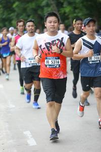 BIB: 7456, 5316
                            <button type="button" onclick="openModal(4655433)" class="btn btn-primary btn-sm float-right btn-popup" data-toggle="modal" data-target=".modal-high-quality">
                        <i class="fas fa-shopping-cart"></i> Add to Cart
                    </button>
                                            <button type="button" onclick="isThisMe(4655433, true)" class="btn btn-success btn-sm float-right btn-popup btn-isme hidden" data-toggle="tooltip" data-placement="bottom" title="นี่คือรูปของคุณใช่ไหม คลิกที่นี่เพื่อเอาเข้าอัลบั้ม">
                        <i class="fas fa-plus"></i> Add to album
                    </button>
                    <button type="button" onclick="isThisMe(4655433, false)" class="btn btn-warning btn-sm float-right btn-popup btn-isnotme hidden">
                        <i class="fas fa-ban"></i> Remove from album
                    </button>