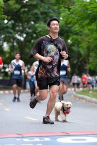 BIB: 
                            <button type="button" onclick="openModal(4722012)" class="btn btn-primary btn-sm float-right btn-popup" data-toggle="modal" data-target=".modal-high-quality">
                        <i class="fas fa-shopping-cart"></i> Add to Cart
                    </button>
                                            <button type="button" onclick="isThisMe(4722012, true)" class="btn btn-success btn-sm float-right btn-popup btn-isme hidden" data-toggle="tooltip" data-placement="bottom" title="นี่คือรูปของคุณใช่ไหม คลิกที่นี่เพื่อเอาเข้าอัลบั้ม">
                        <i class="fas fa-plus"></i> Add to album
                    </button>
                    <button type="button" onclick="isThisMe(4722012, false)" class="btn btn-warning btn-sm float-right btn-popup btn-isnotme hidden">
                        <i class="fas fa-ban"></i> Remove from album
                    </button>