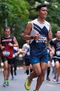 BIB: 8067, 4164
                            <button type="button" onclick="openModal(4689517)" class="btn btn-primary btn-sm float-right btn-popup" data-toggle="modal" data-target=".modal-high-quality">
                        <i class="fas fa-shopping-cart"></i> Add to Cart
                    </button>
                                            <button type="button" onclick="isThisMe(4689517, true)" class="btn btn-success btn-sm float-right btn-popup btn-isme hidden" data-toggle="tooltip" data-placement="bottom" title="นี่คือรูปของคุณใช่ไหม คลิกที่นี่เพื่อเอาเข้าอัลบั้ม">
                        <i class="fas fa-plus"></i> Add to album
                    </button>
                    <button type="button" onclick="isThisMe(4689517, false)" class="btn btn-warning btn-sm float-right btn-popup btn-isnotme hidden">
                        <i class="fas fa-ban"></i> Remove from album
                    </button>