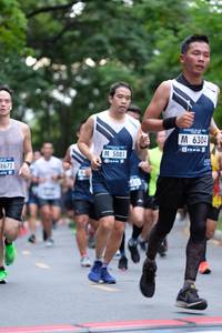 BIB: 6304, 5081, 8672
                            <button type="button" onclick="openModal(4681710)" class="btn btn-primary btn-sm float-right btn-popup" data-toggle="modal" data-target=".modal-high-quality">
                        <i class="fas fa-shopping-cart"></i> Add to Cart
                    </button>
                                            <button type="button" onclick="isThisMe(4681710, true)" class="btn btn-success btn-sm float-right btn-popup btn-isme hidden" data-toggle="tooltip" data-placement="bottom" title="นี่คือรูปของคุณใช่ไหม คลิกที่นี่เพื่อเอาเข้าอัลบั้ม">
                        <i class="fas fa-plus"></i> Add to album
                    </button>
                    <button type="button" onclick="isThisMe(4681710, false)" class="btn btn-warning btn-sm float-right btn-popup btn-isnotme hidden">
                        <i class="fas fa-ban"></i> Remove from album
                    </button>