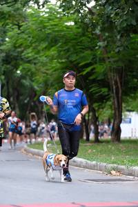 BIB: 
                            <button type="button" onclick="openModal(4699578)" class="btn btn-primary btn-sm float-right btn-popup" data-toggle="modal" data-target=".modal-high-quality">
                        <i class="fas fa-shopping-cart"></i> Add to Cart
                    </button>
                                            <button type="button" onclick="isThisMe(4699578, true)" class="btn btn-success btn-sm float-right btn-popup btn-isme hidden" data-toggle="tooltip" data-placement="bottom" title="นี่คือรูปของคุณใช่ไหม คลิกที่นี่เพื่อเอาเข้าอัลบั้ม">
                        <i class="fas fa-plus"></i> Add to album
                    </button>
                    <button type="button" onclick="isThisMe(4699578, false)" class="btn btn-warning btn-sm float-right btn-popup btn-isnotme hidden">
                        <i class="fas fa-ban"></i> Remove from album
                    </button>