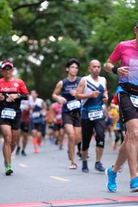 BIB: 
                            <button type="button" onclick="openModal(4682155)" class="btn btn-primary btn-sm float-right btn-popup" data-toggle="modal" data-target=".modal-high-quality">
                        <i class="fas fa-shopping-cart"></i> Add to Cart
                    </button>
                                            <button type="button" onclick="isThisMe(4682155, true)" class="btn btn-success btn-sm float-right btn-popup btn-isme hidden" data-toggle="tooltip" data-placement="bottom" title="นี่คือรูปของคุณใช่ไหม คลิกที่นี่เพื่อเอาเข้าอัลบั้ม">
                        <i class="fas fa-plus"></i> Add to album
                    </button>
                    <button type="button" onclick="isThisMe(4682155, false)" class="btn btn-warning btn-sm float-right btn-popup btn-isnotme hidden">
                        <i class="fas fa-ban"></i> Remove from album
                    </button>